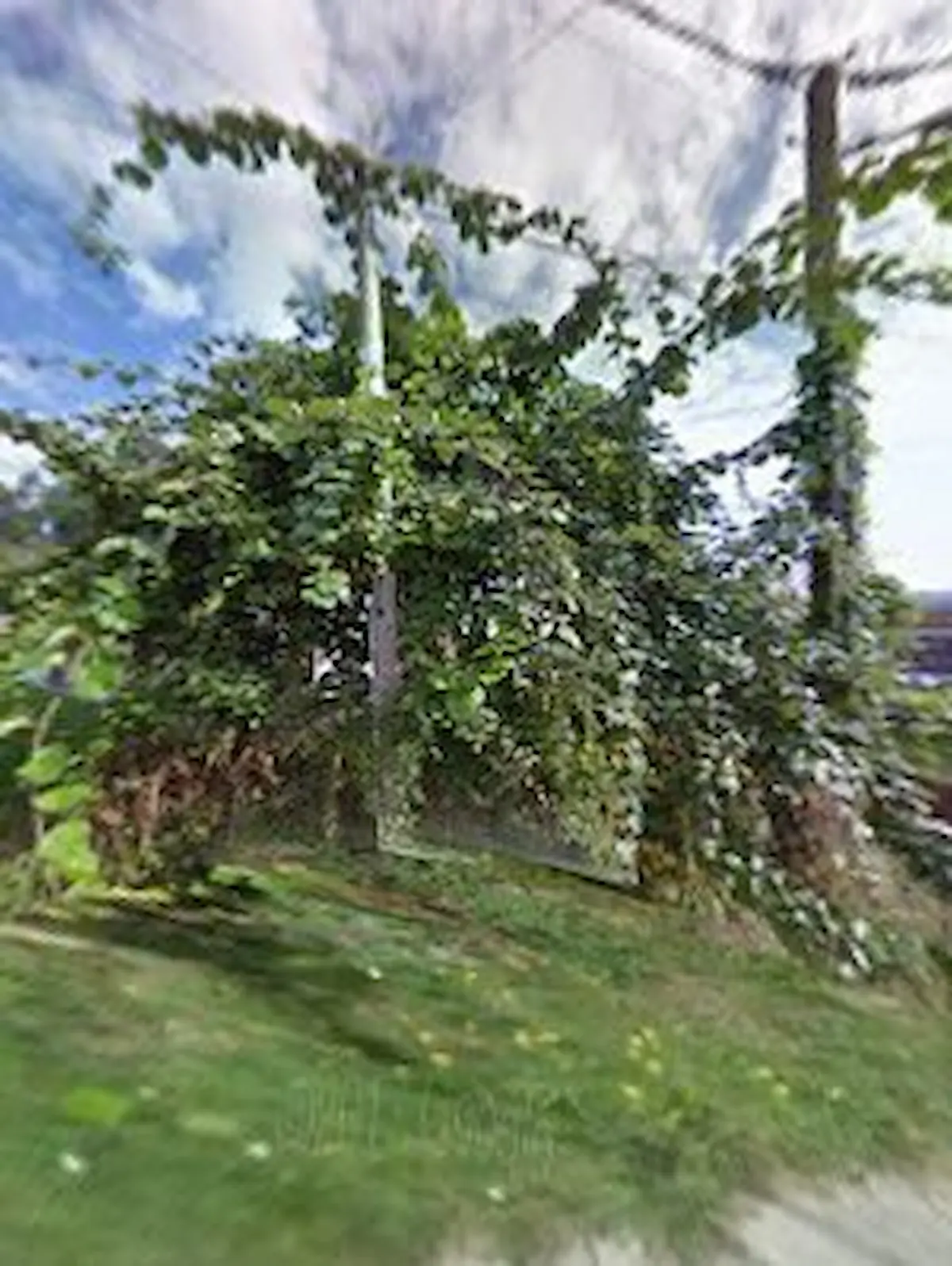 Imagen de Hotel 7 Uvas